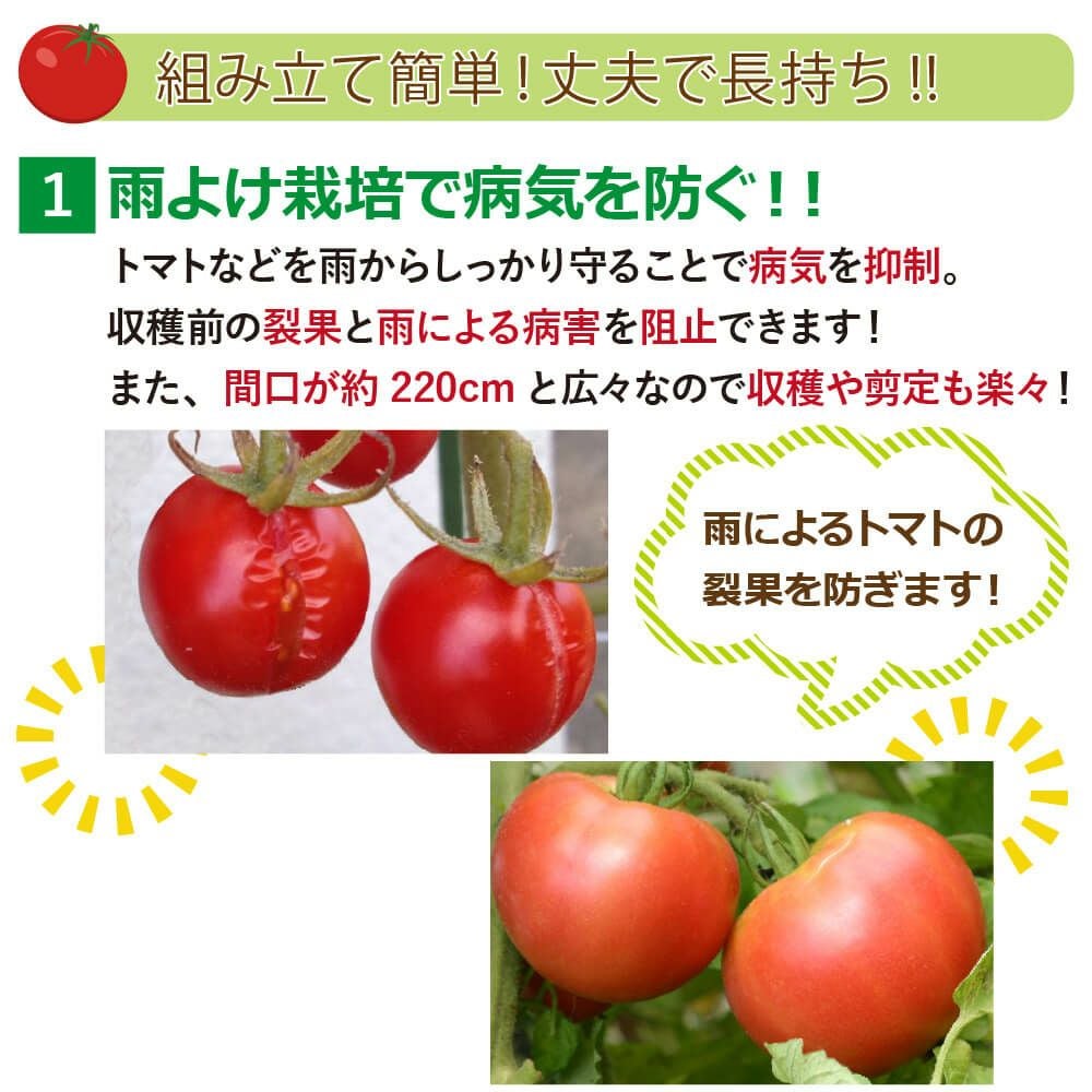 daim 雨よけセットDXワイドロング