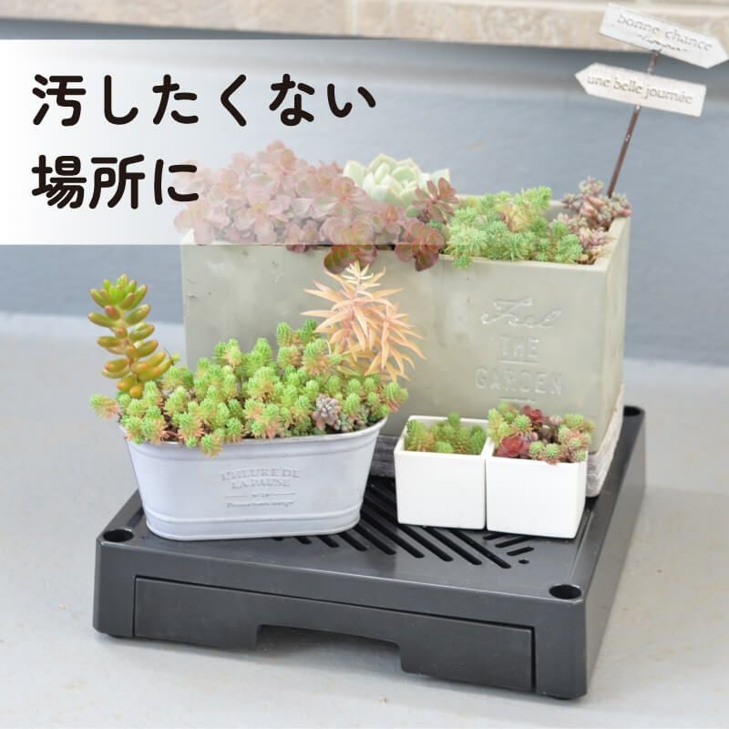 どこでもブラックベース24cm