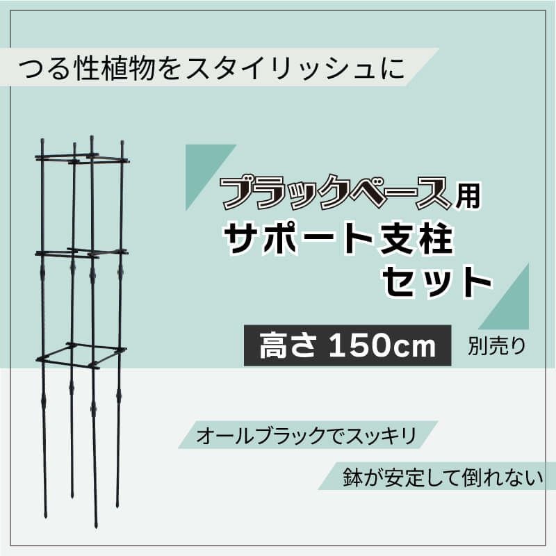 どこでもブラックベース24cm