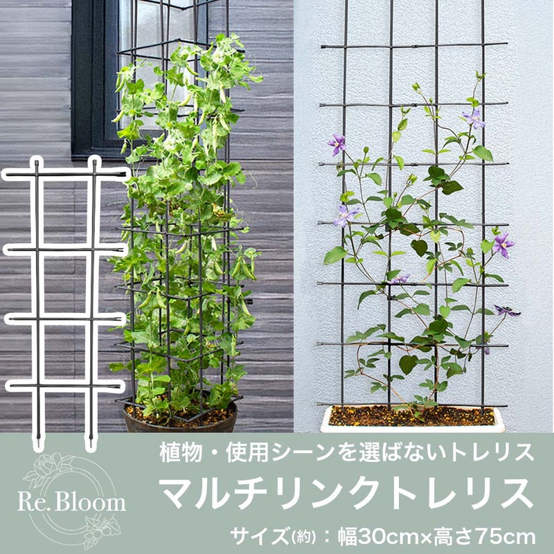 マルチリンクトレリス 30cm 75cm 家庭菜園 園芸 つる性植物 DIY