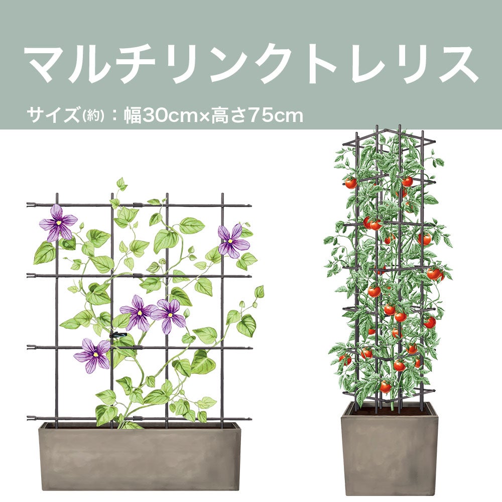マルチリンクトレリス 30cm 75cm 家庭菜園 園芸 つる性植物 DIY