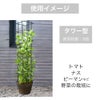 マルチリンクトレリス 30cm 75cm 家庭菜園 園芸 つる性植物 DIY