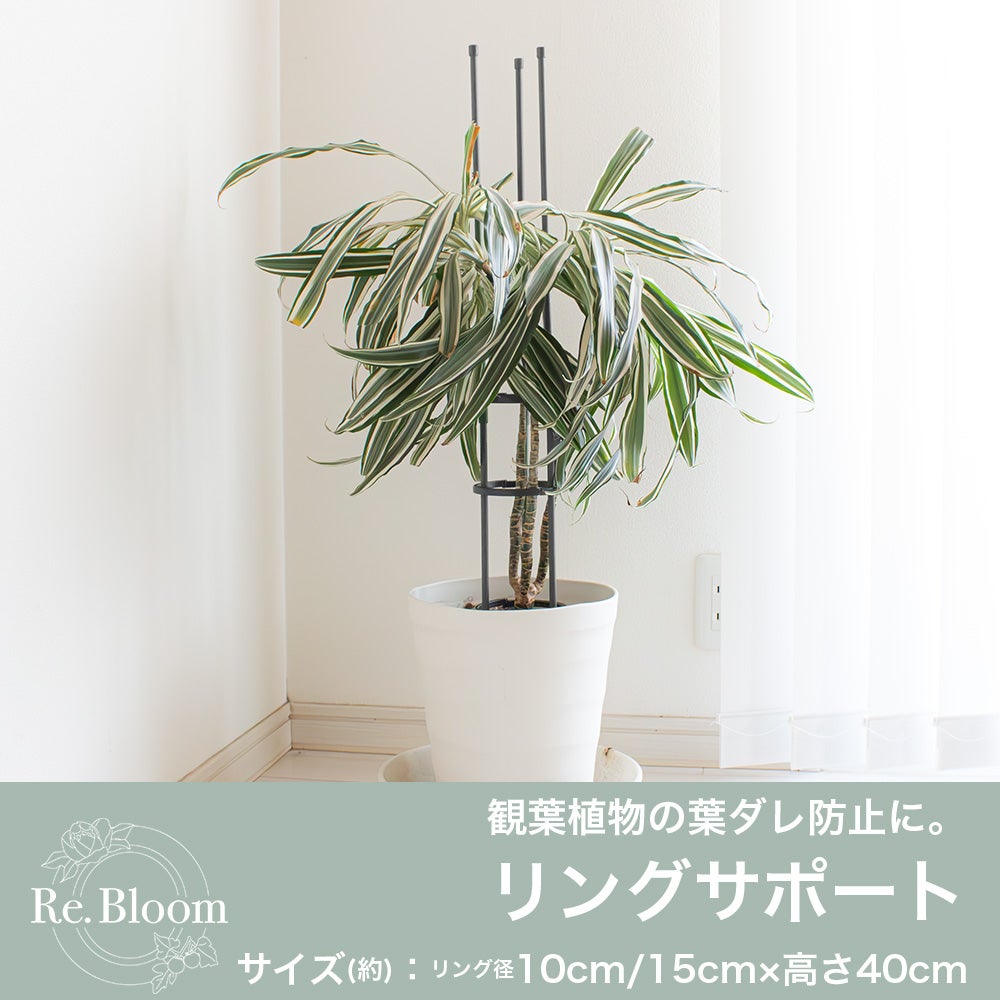 リングサポート 家庭菜園 園芸 観葉植物