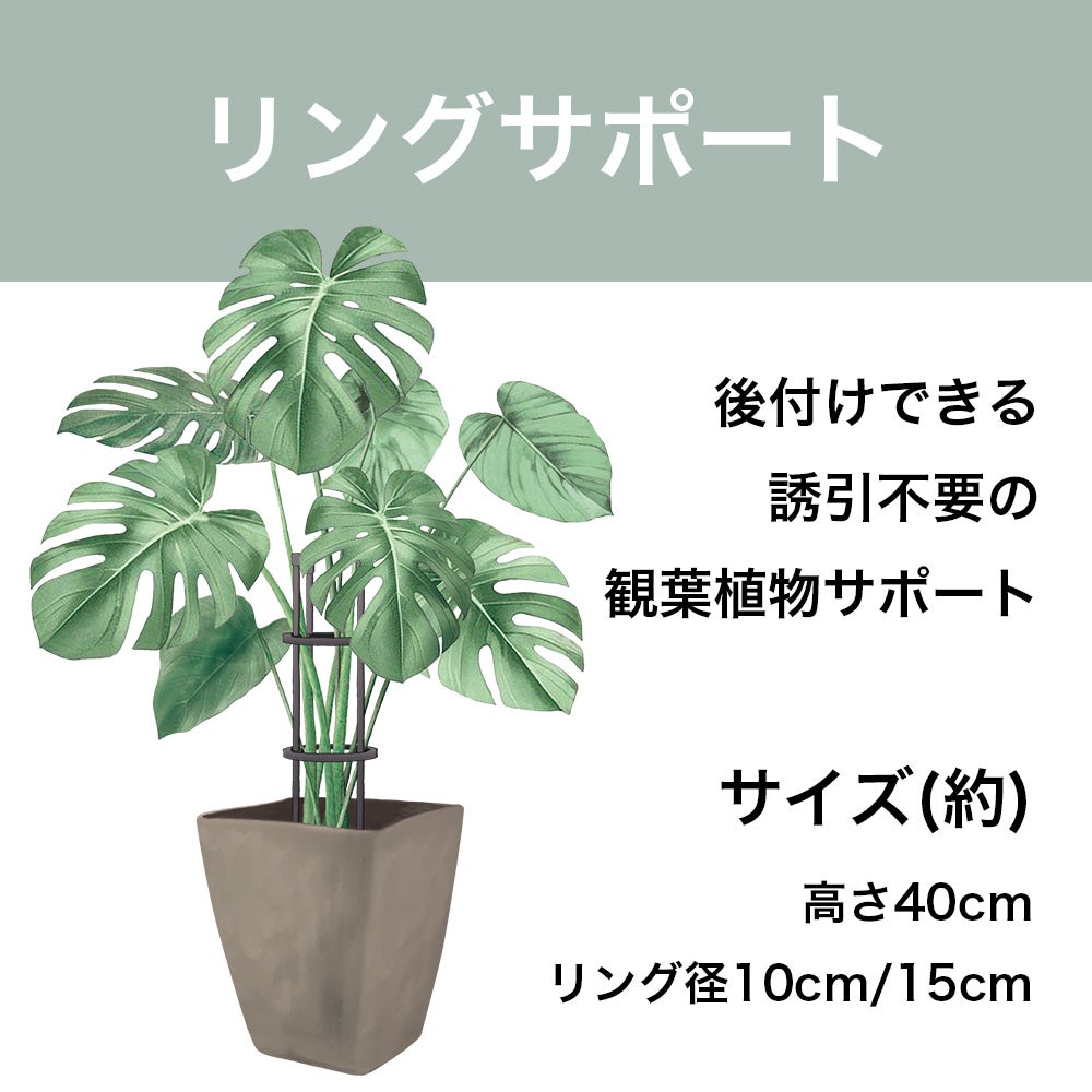 リングサポート 家庭菜園 園芸 観葉植物