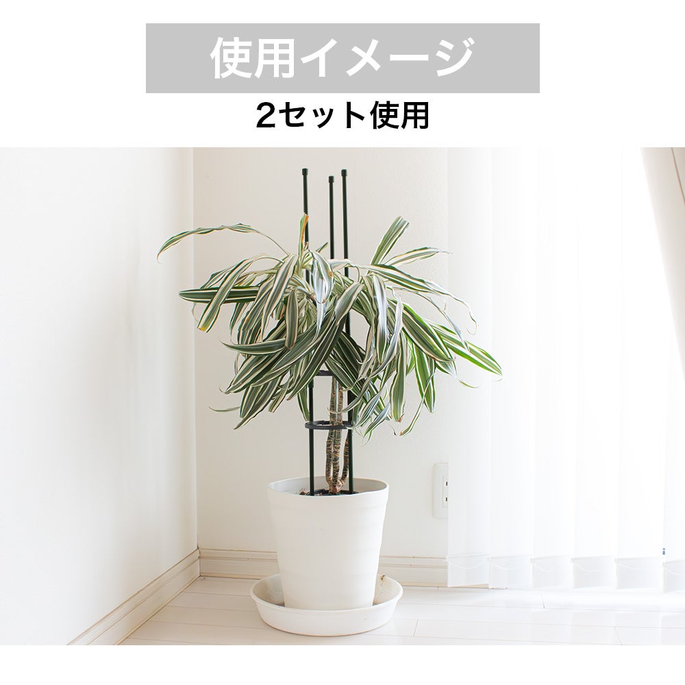 リングサポート 家庭菜園 園芸 観葉植物