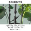 リングサポート 家庭菜園 園芸 観葉植物