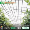 【受注生産品】daim 農業用 POフィルム ダイヤスター 透明 0.15mm 1000cm幅