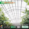 【受注生産品】daim 農業用 POフィルム ダイヤスター 透明 0.15mm 900cm幅