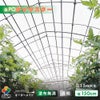 【受注生産品】daim 農業用 POフィルム ダイヤスター 透明 0.15mm 150cm幅
